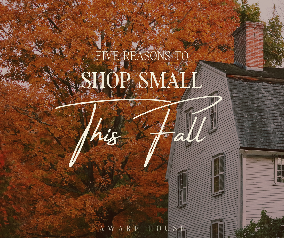 Five Reasons to Shop Small This Fall