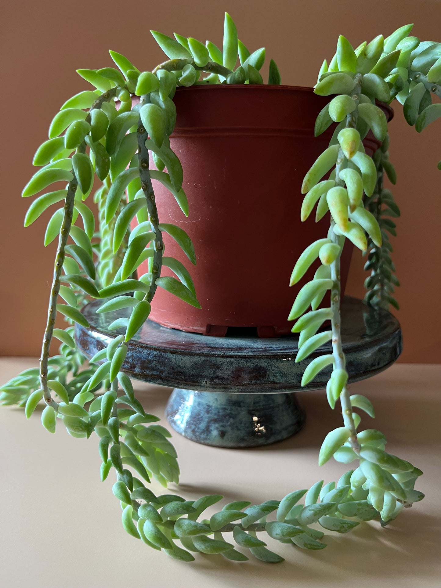 Crescent Dessert Stand