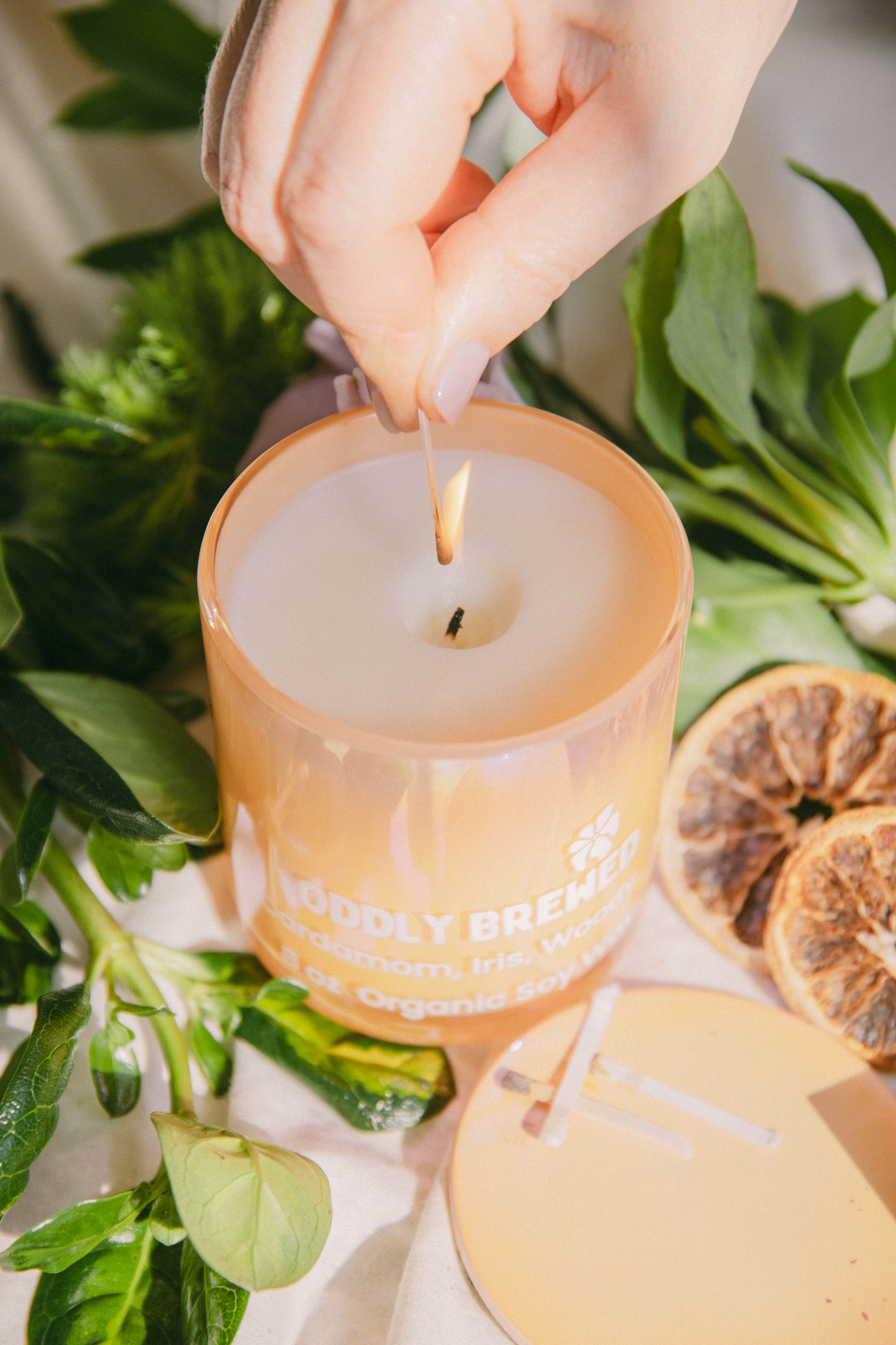 Locals Aura Cardamom, Iris, & Wood Soy Candle