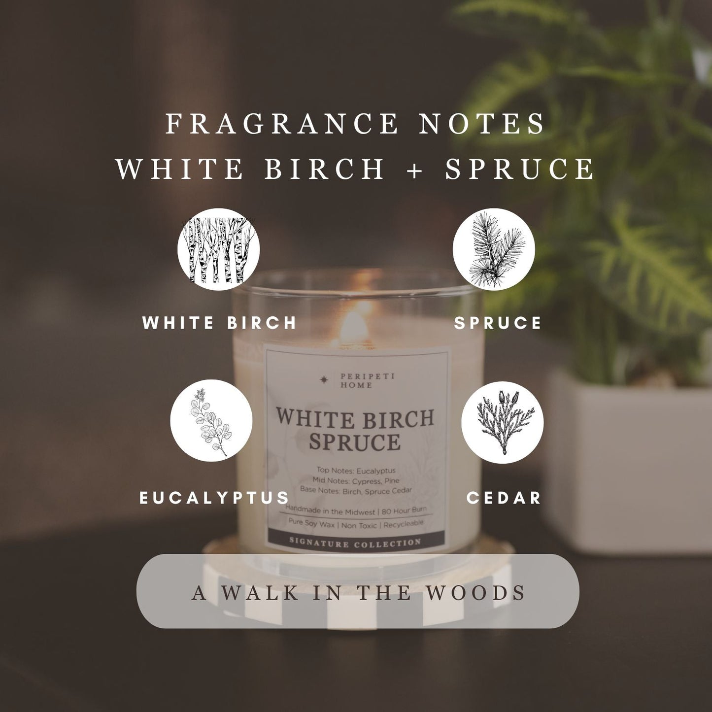 White Birch & Spruce Candle, Wax Melt, Diffuser & Room Spray