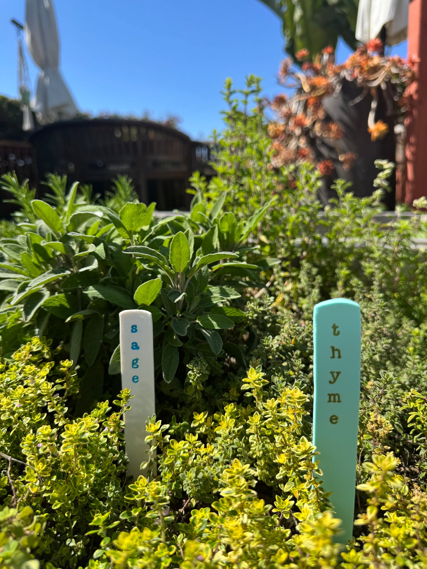 Hardten's Herb Garden Stake Sets