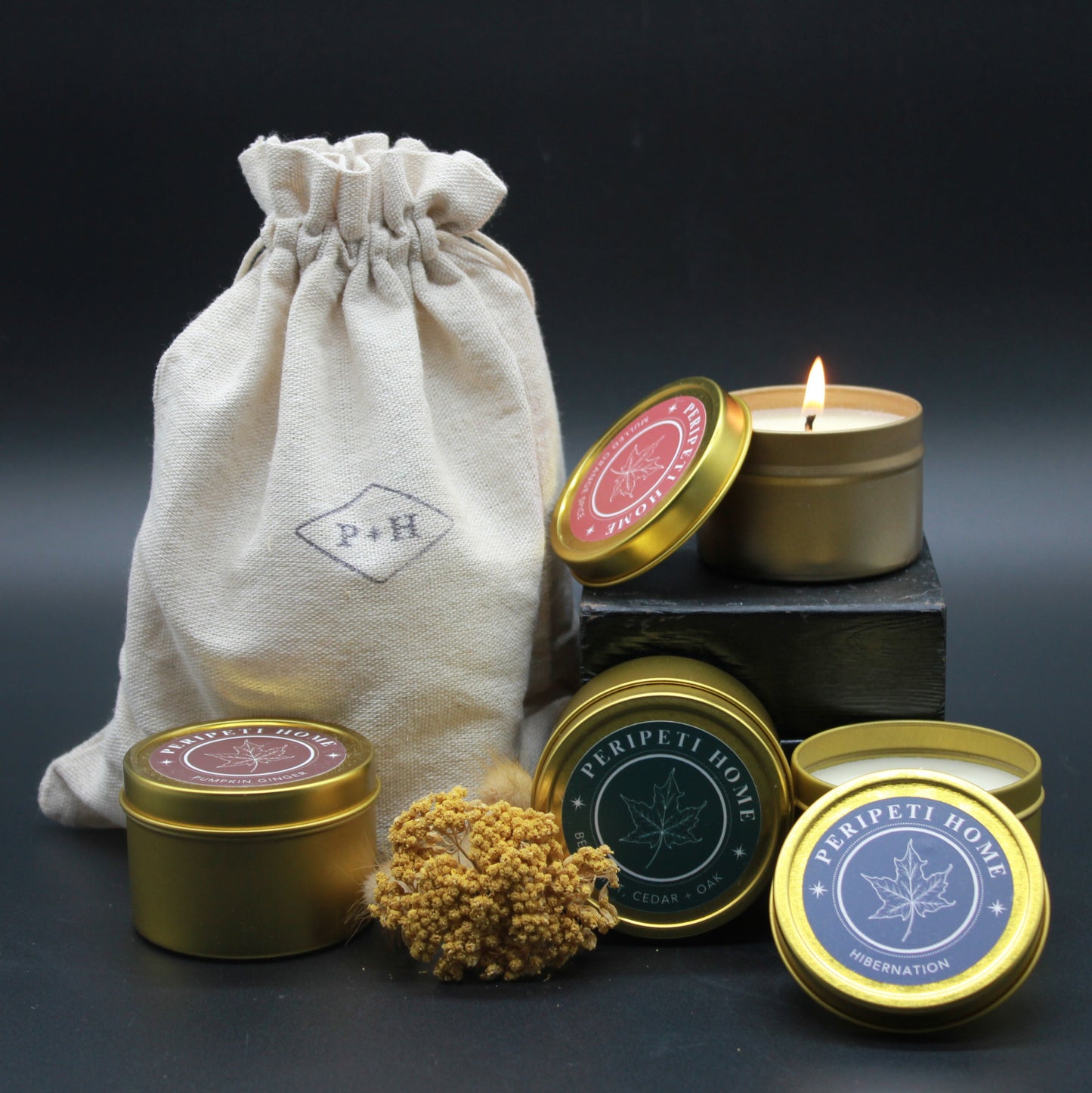 Fall Travel Candle Tin Flight