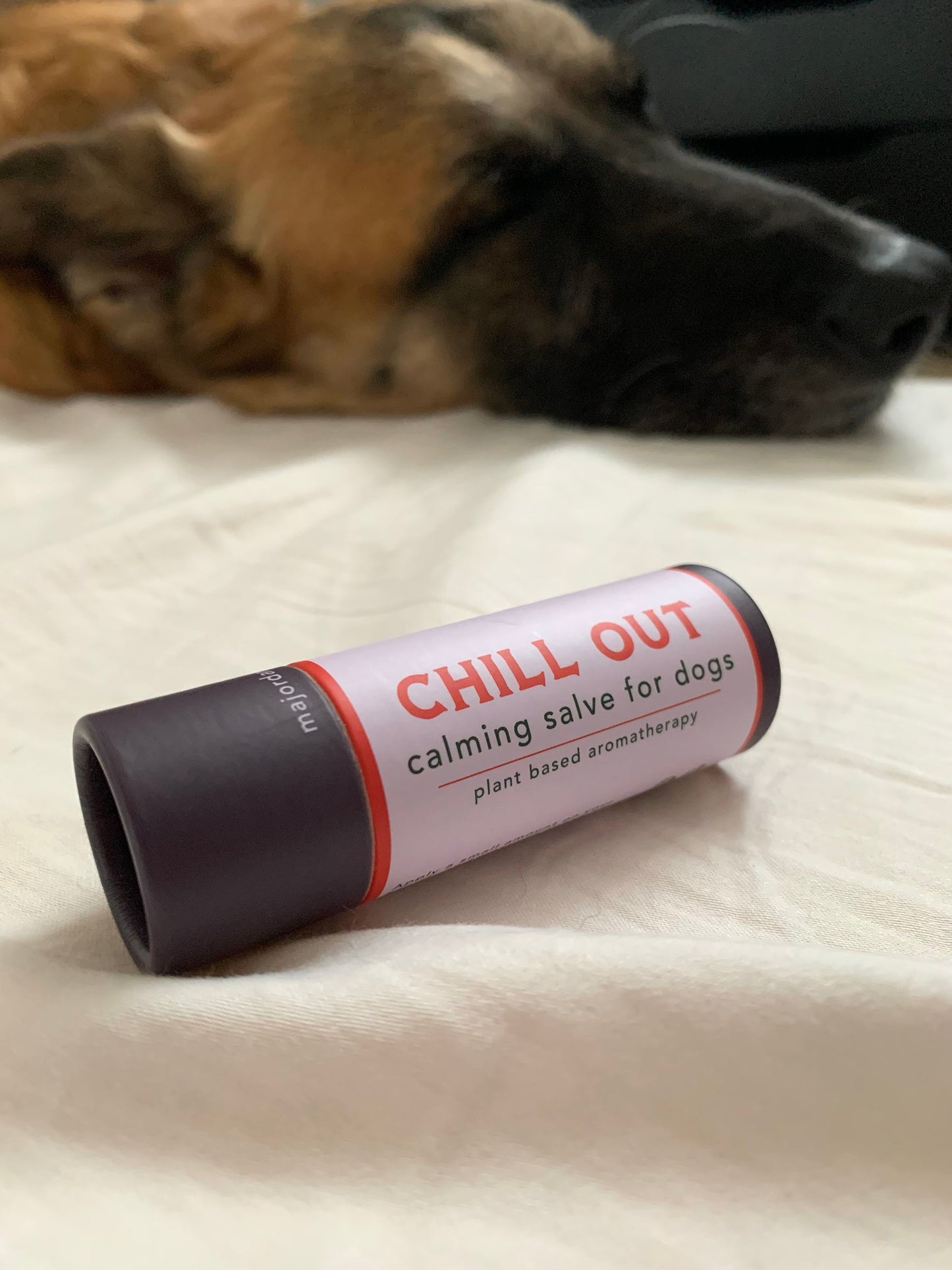 Chill Out Dog Calming Salve