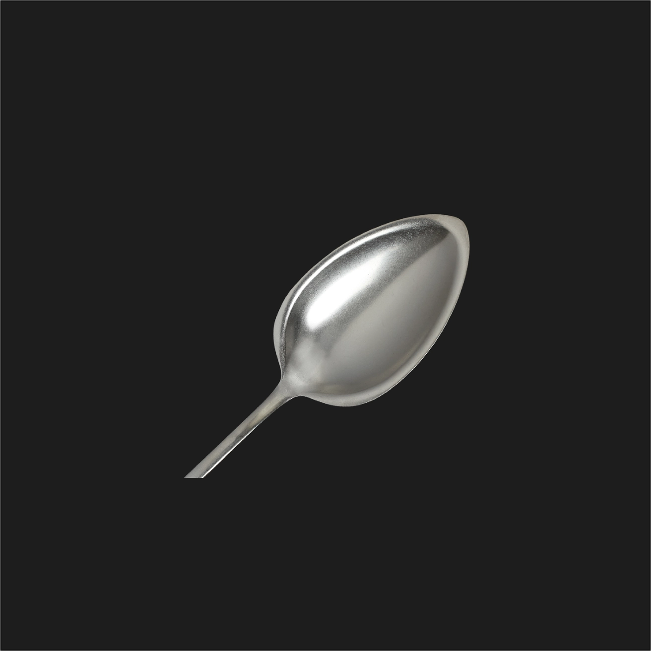 01 Silver Spoon