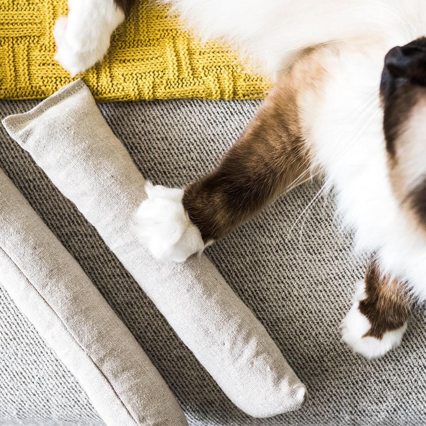 Boba & Vespa Cat Kicker Toy