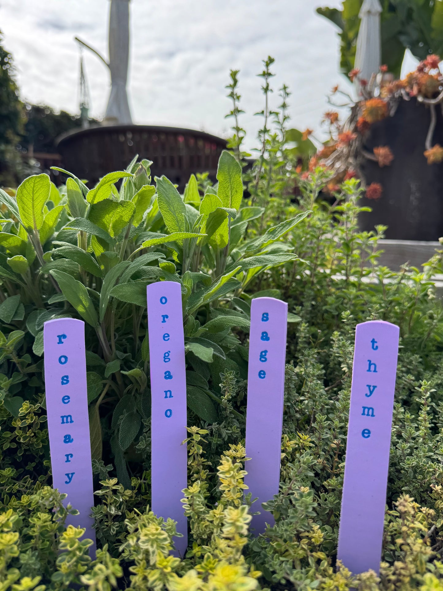 Hardten's Herb Garden Stake Sets