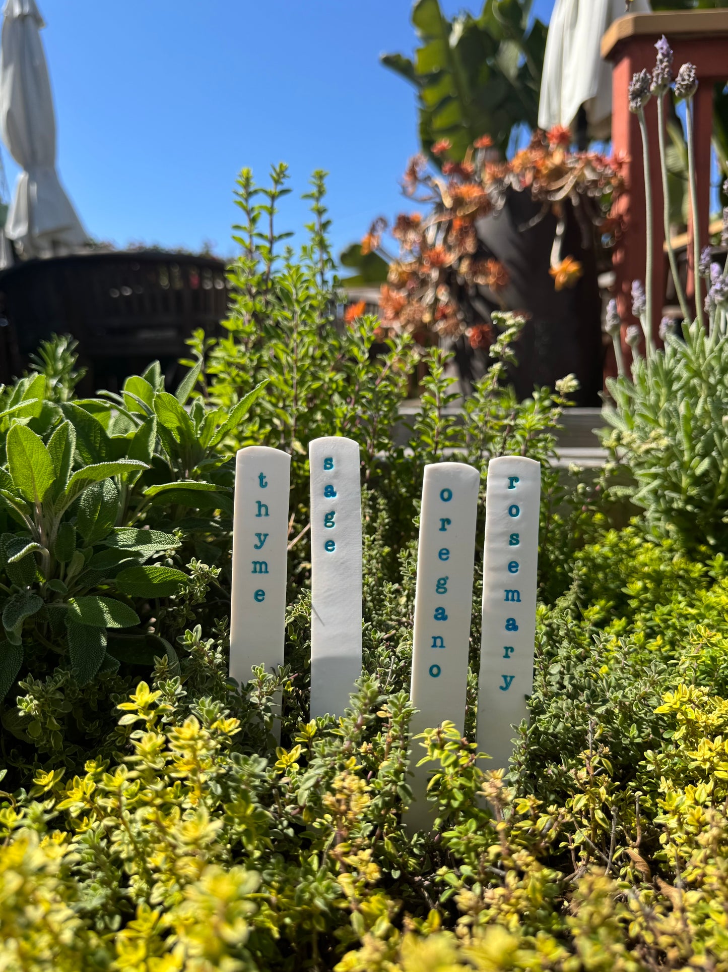 Hardten's Herb Garden Stake Sets