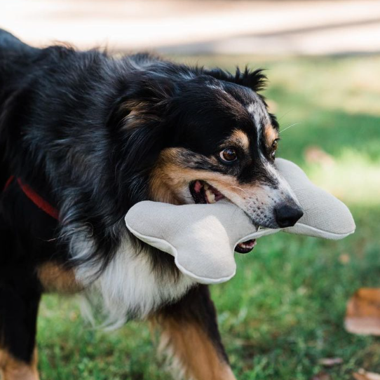 Boba & Vespa Plush Hemp Dog Bone Toy for Gentle Chewers