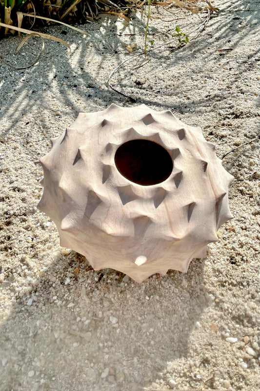 Urchin Form in Red Maple