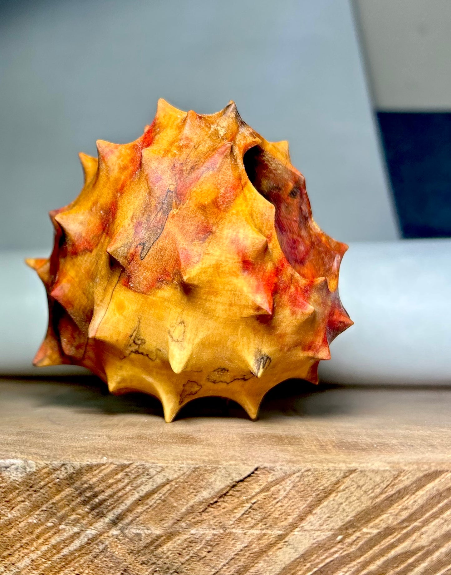 Urchin in Flaming Box Elder