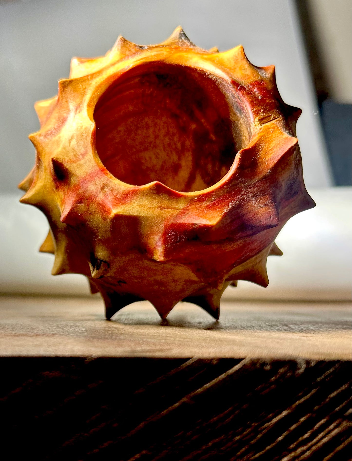 Urchin in Flaming Box Elder