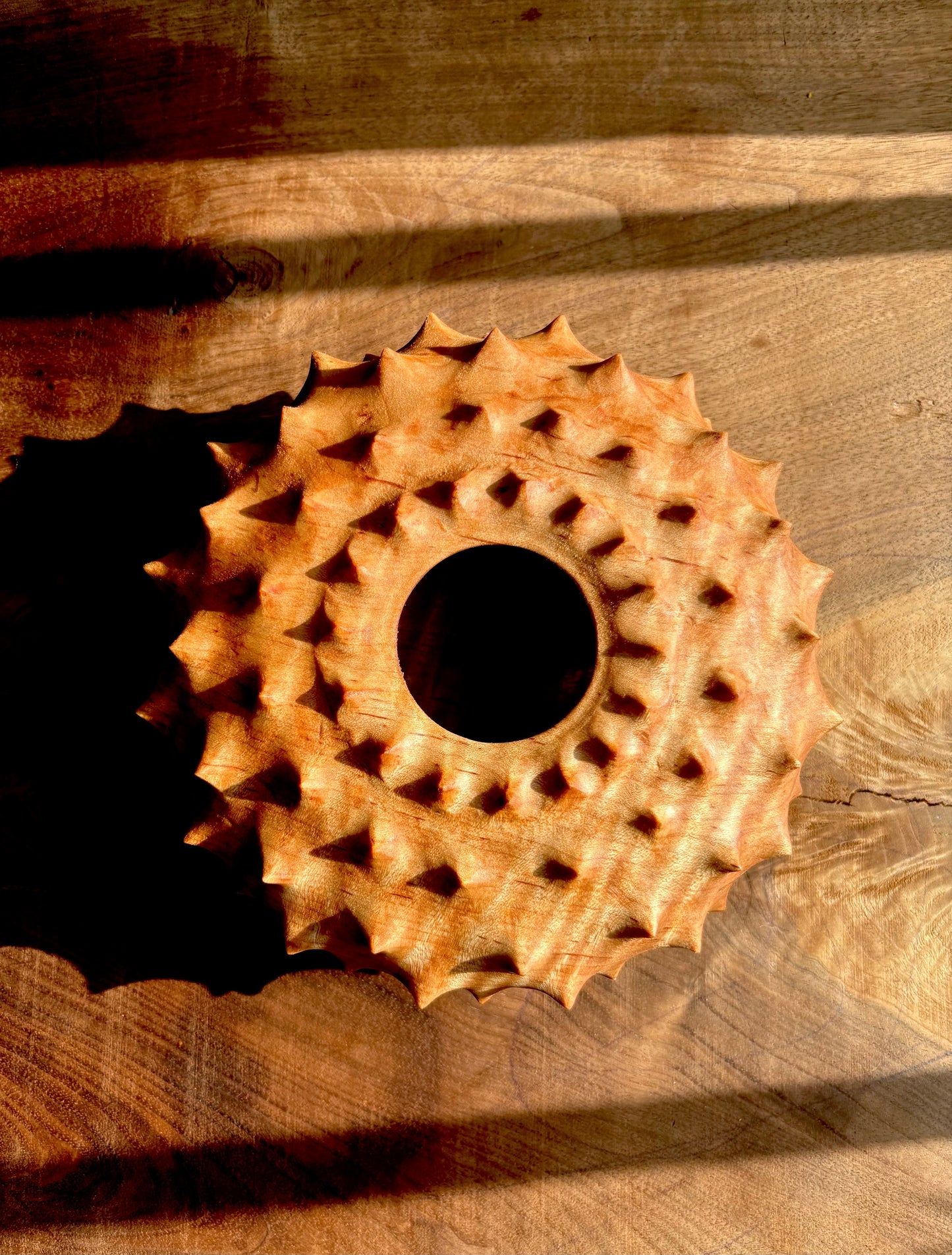 Urchin Form in Curly Red Maple