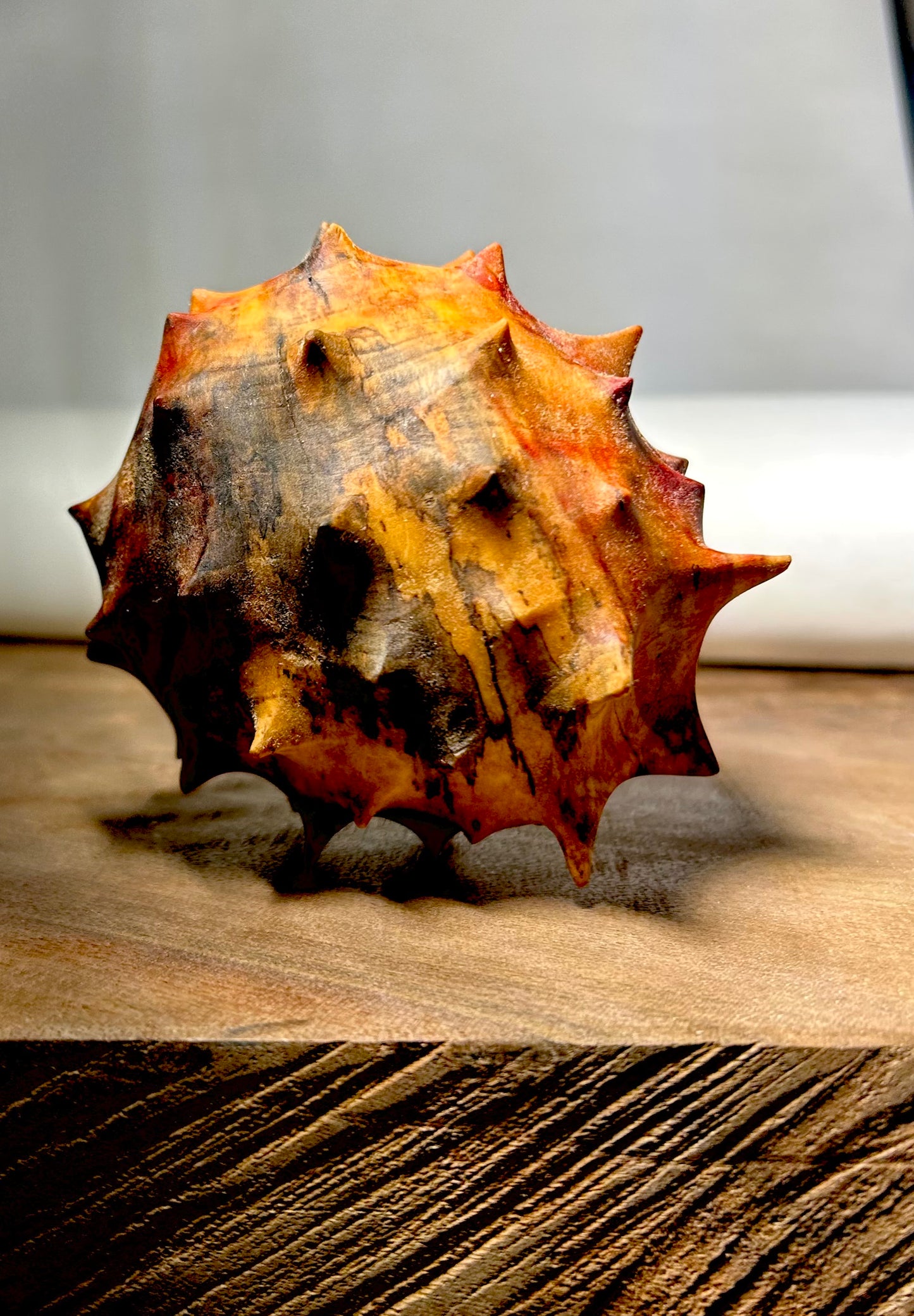 Urchin in Flaming Box Elder