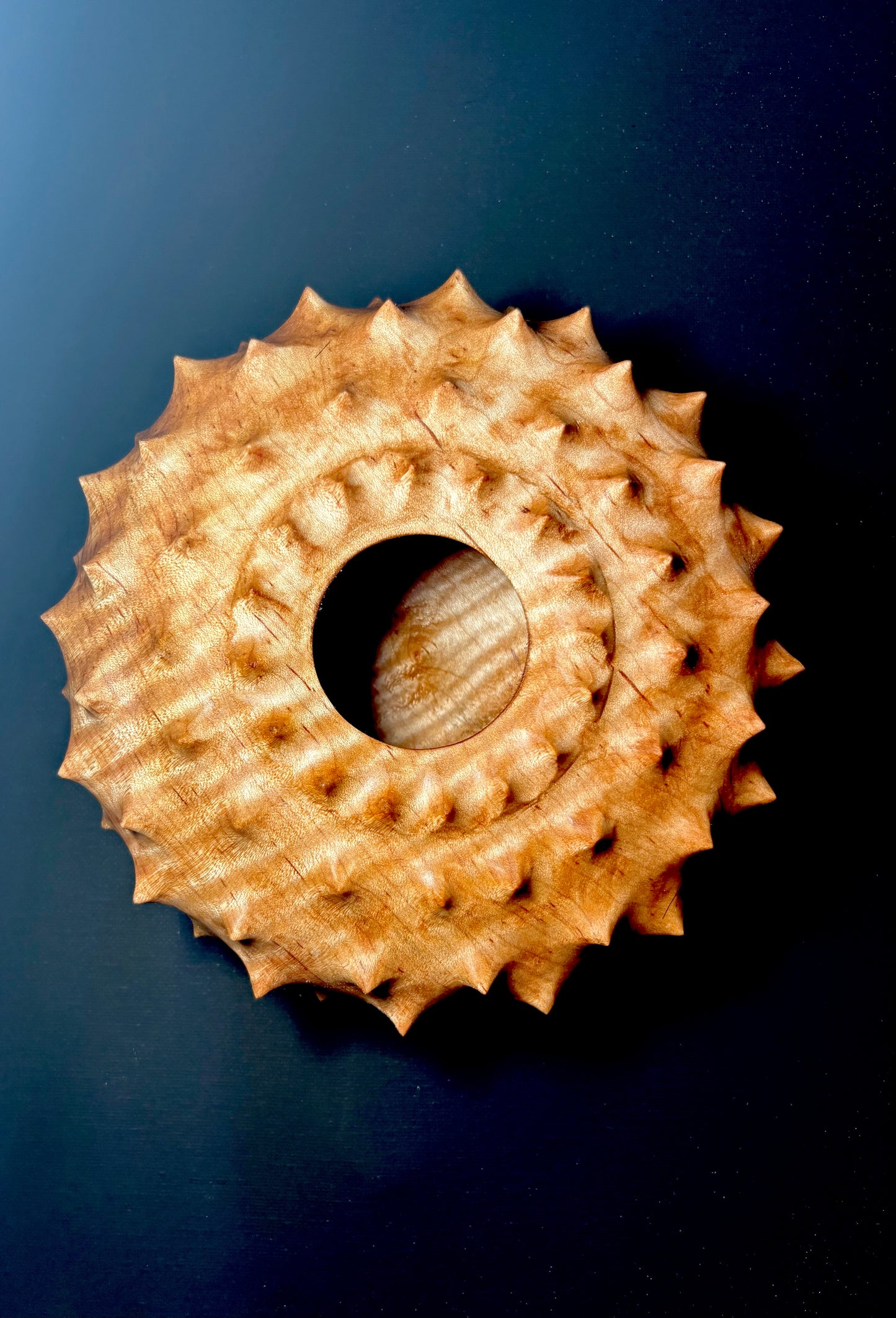 Urchin Form in Curly Red Maple