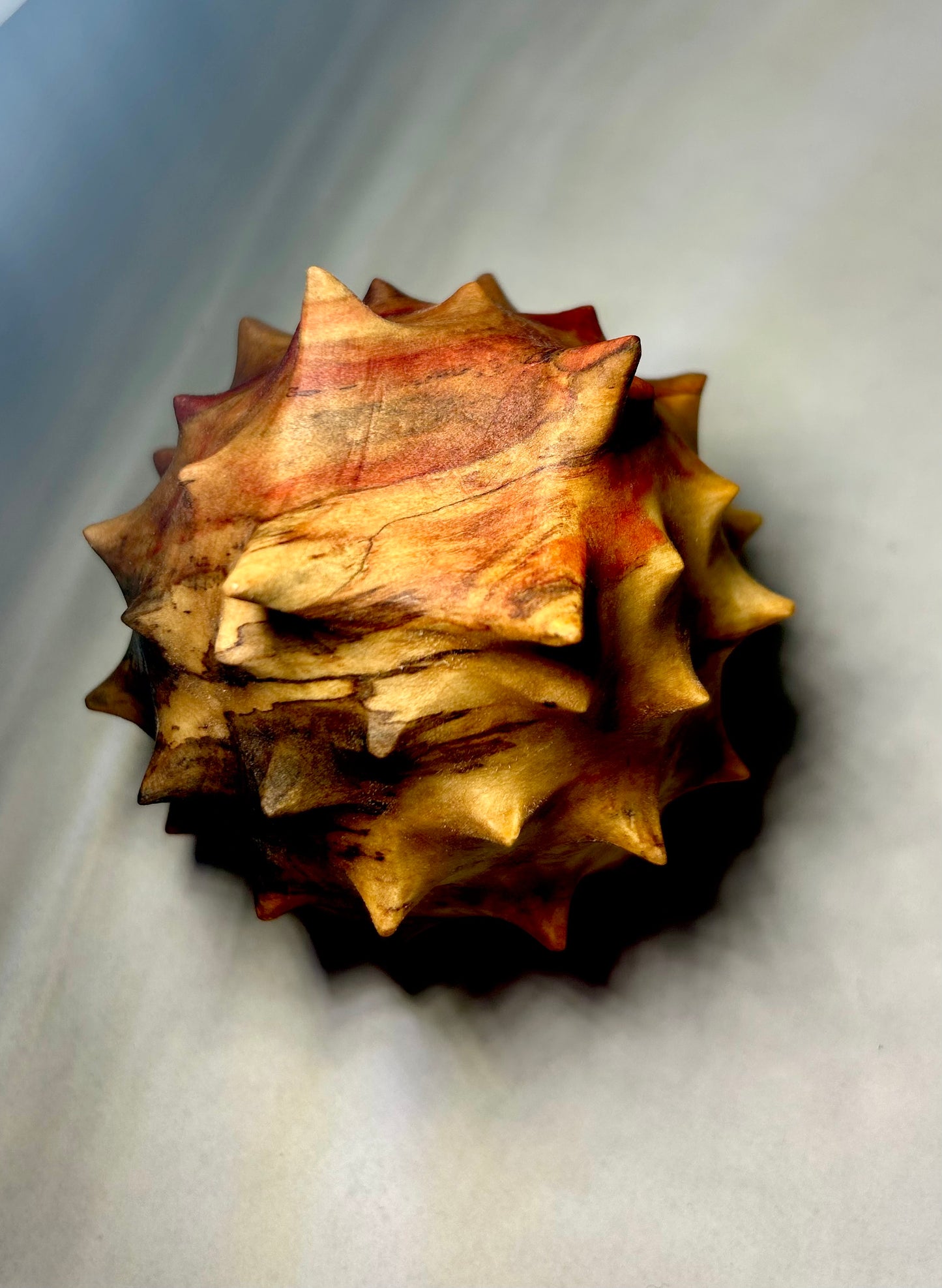 Urchin in Flaming Box Elder