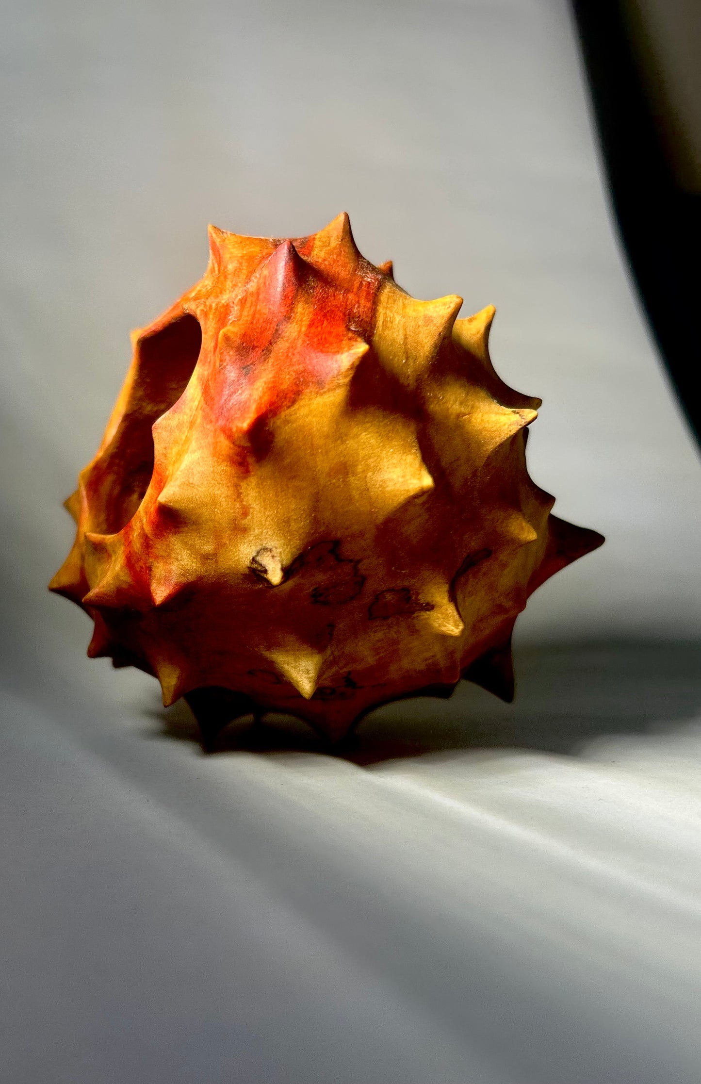 Urchin in Flaming Box Elder