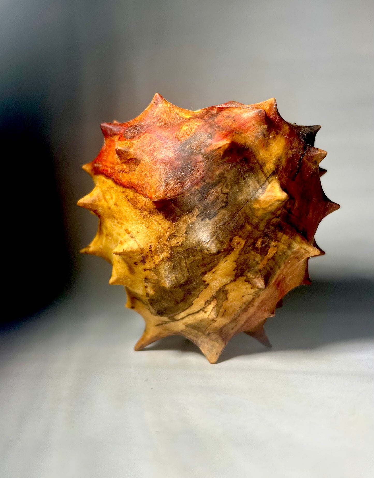 Urchin in Flaming Box Elder