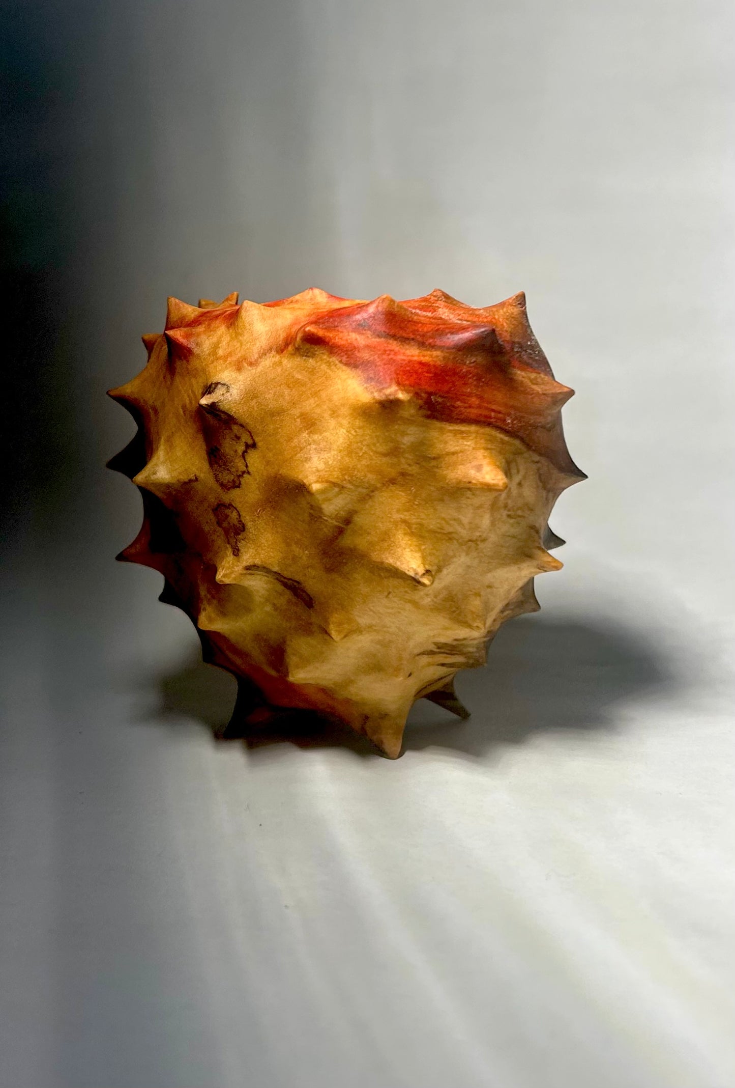 Urchin in Flaming Box Elder
