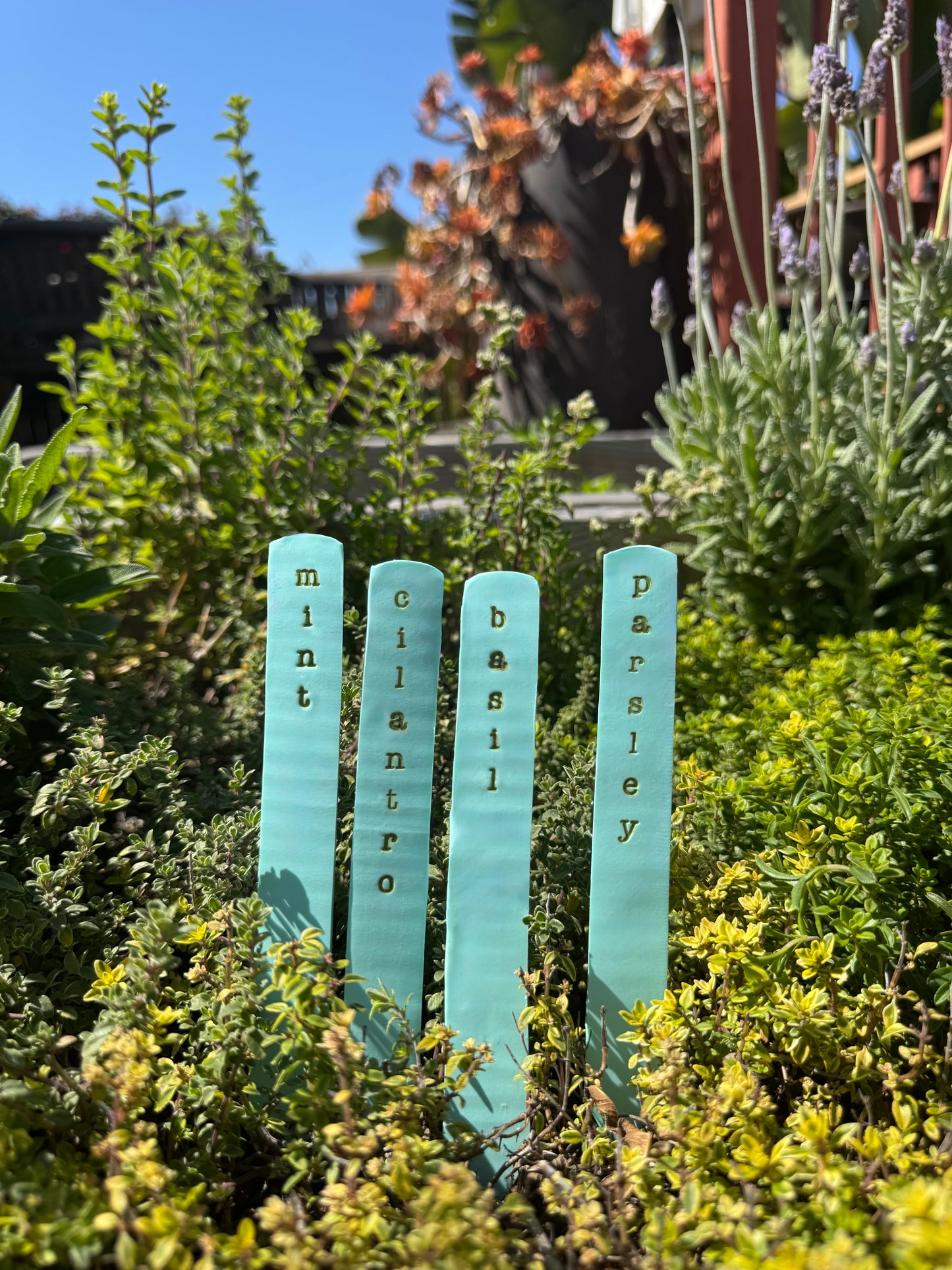 Hardten's Herb Garden Stake Sets