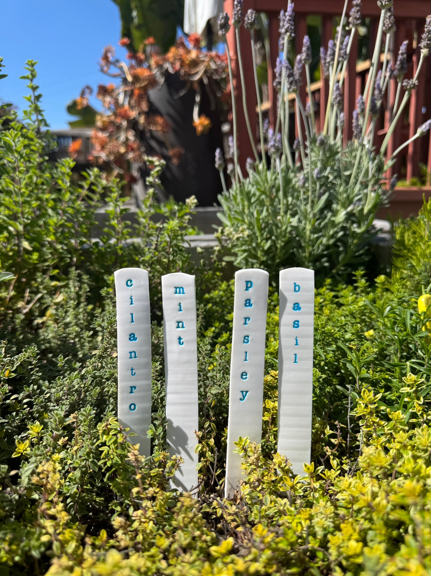Hardten's Herb Garden Stake Sets