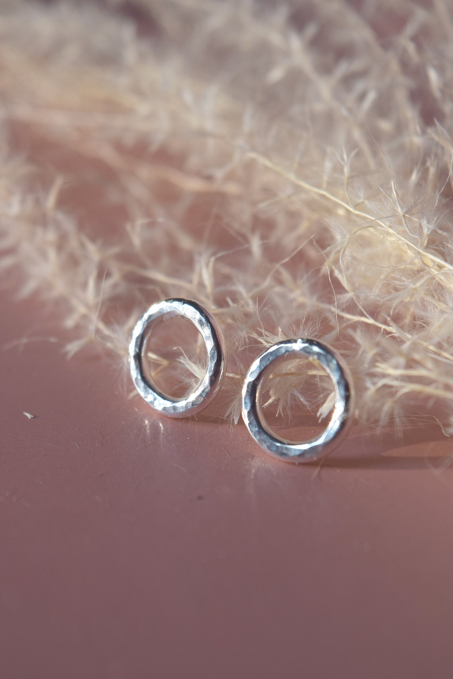 Potomac Circle Studs