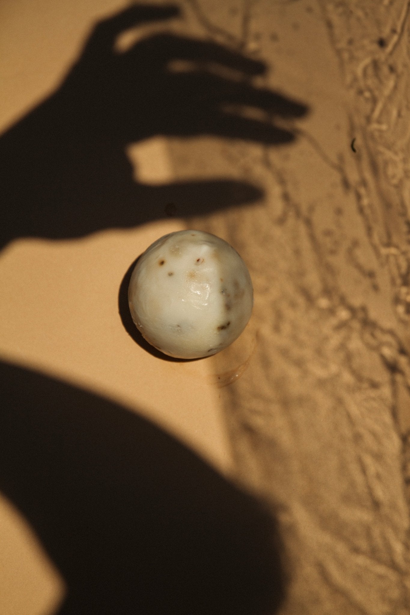 Sea Change Seaweed Sphere Tallow Soap
