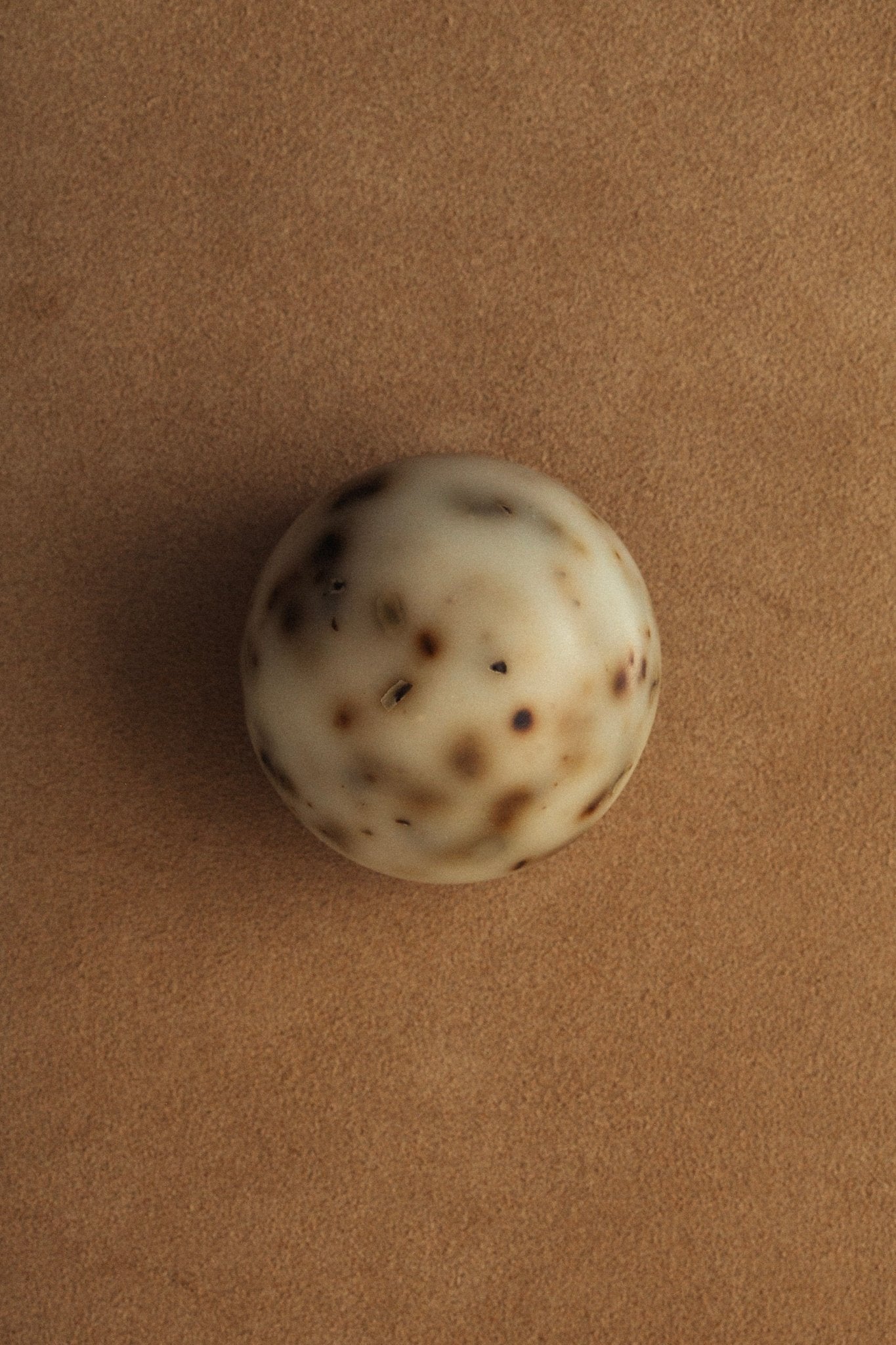 Sea Change Seaweed Sphere Tallow Soap
