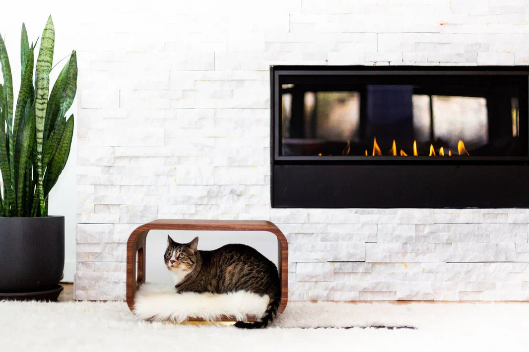 Briana Menendez | A Focus on the Niche - Aware House