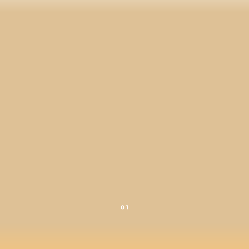 Zero Waste Vegan Concealer-zoom-