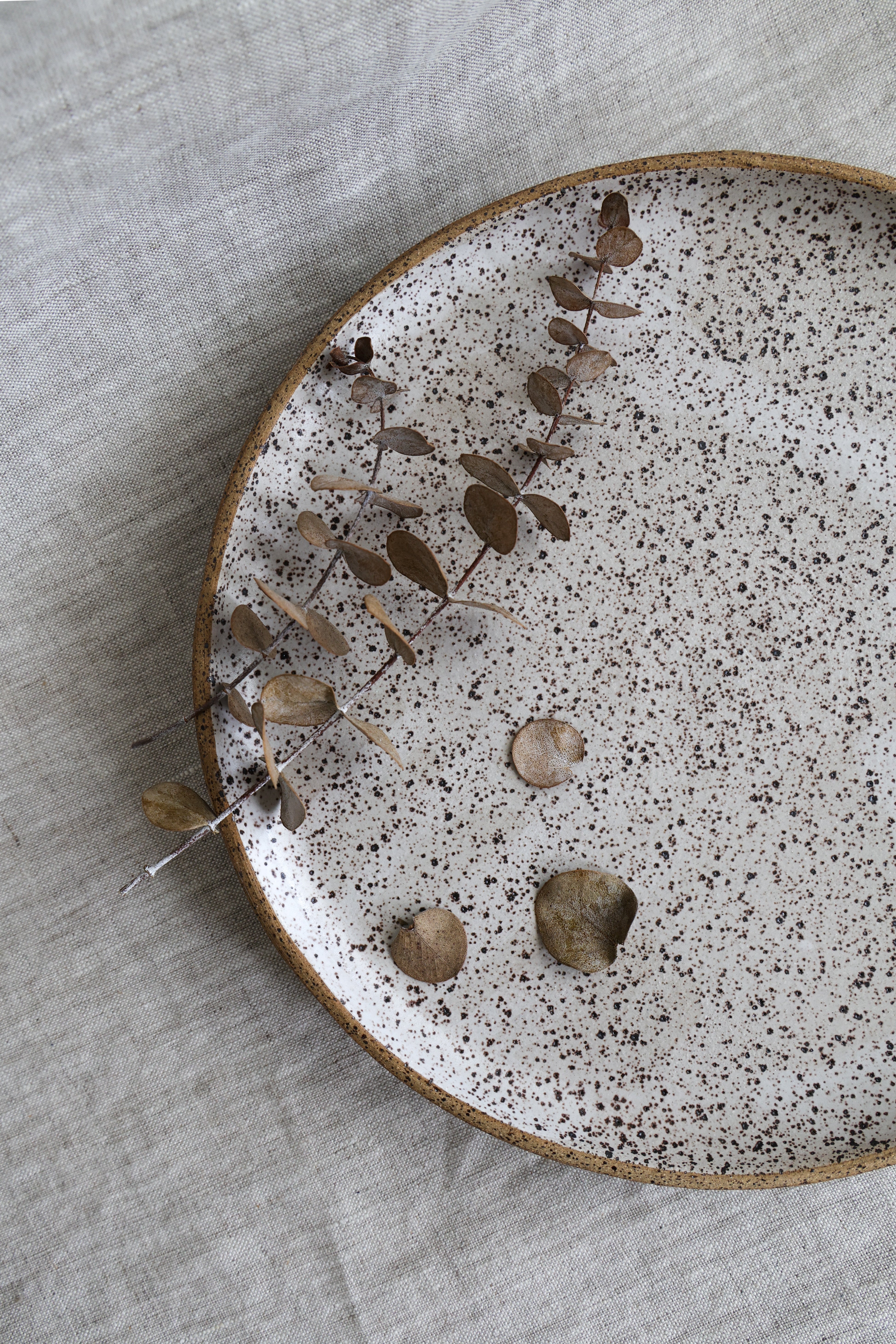 Speckled Dinner Plate | Matte White Ceramic-zoom-8