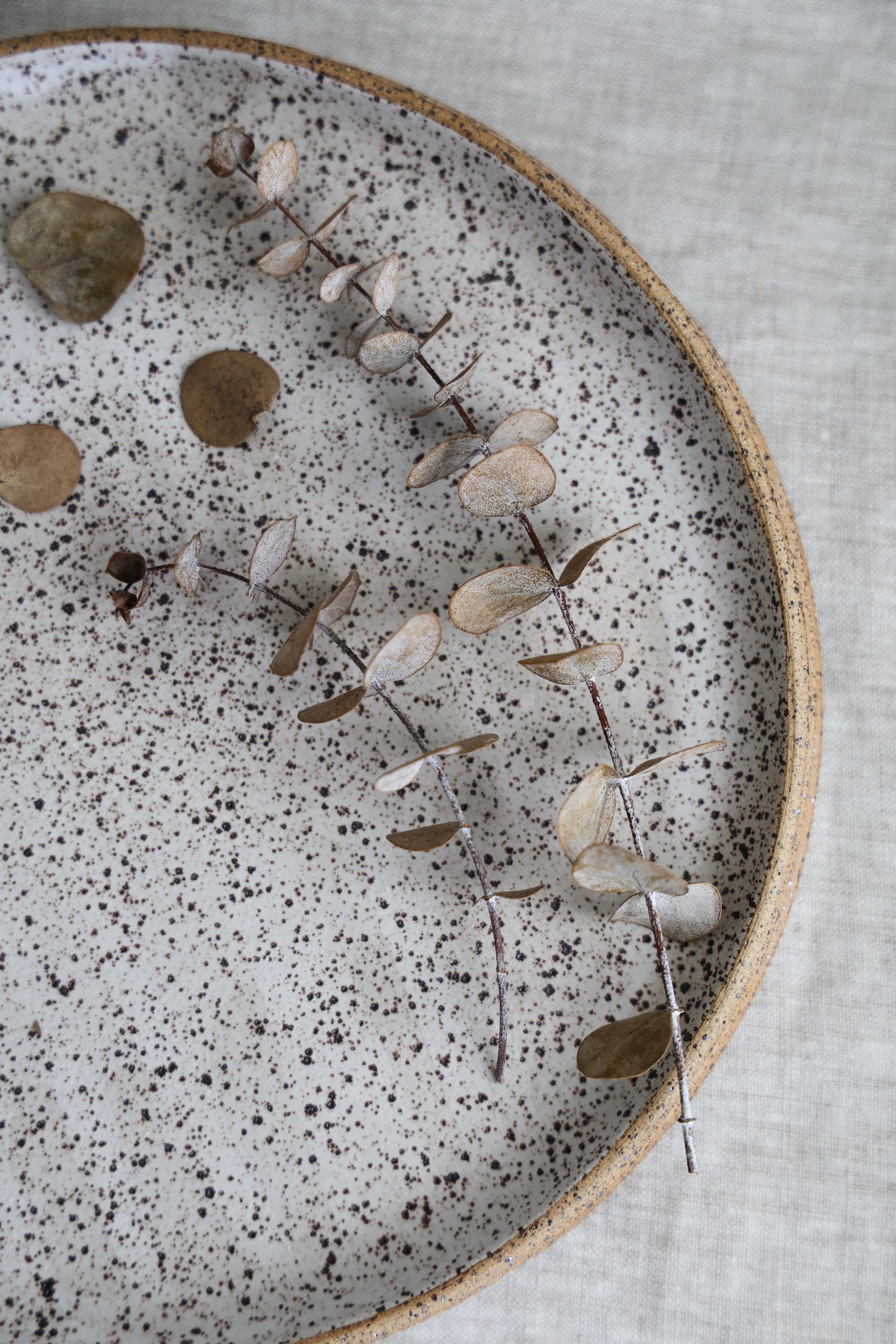 Speckled Dinner Plate | Matte White Ceramic-zoom-7