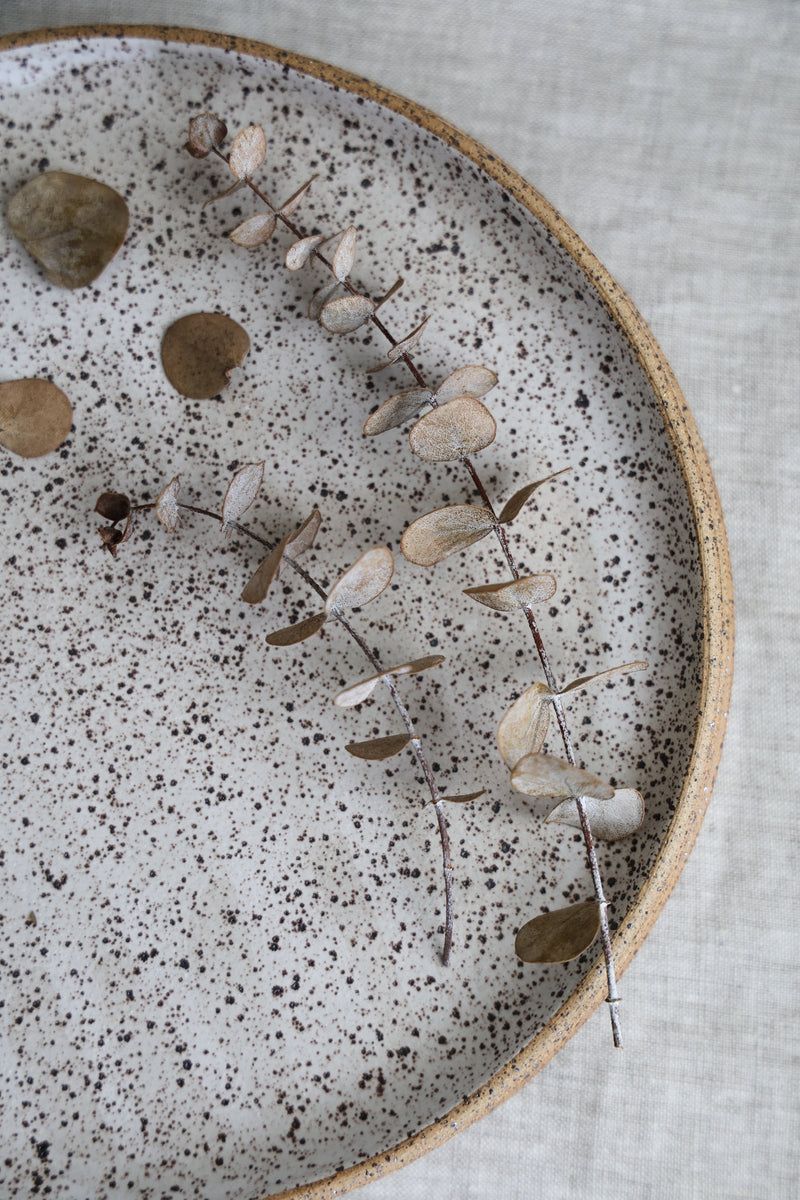 Speckled Dinner Plate | Matte White Ceramic-zoom-