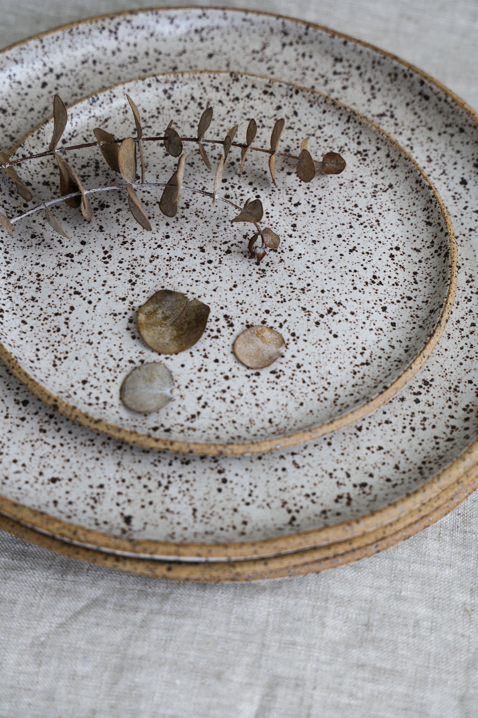 Speckled Dinner Plate | Matte White Ceramic-6