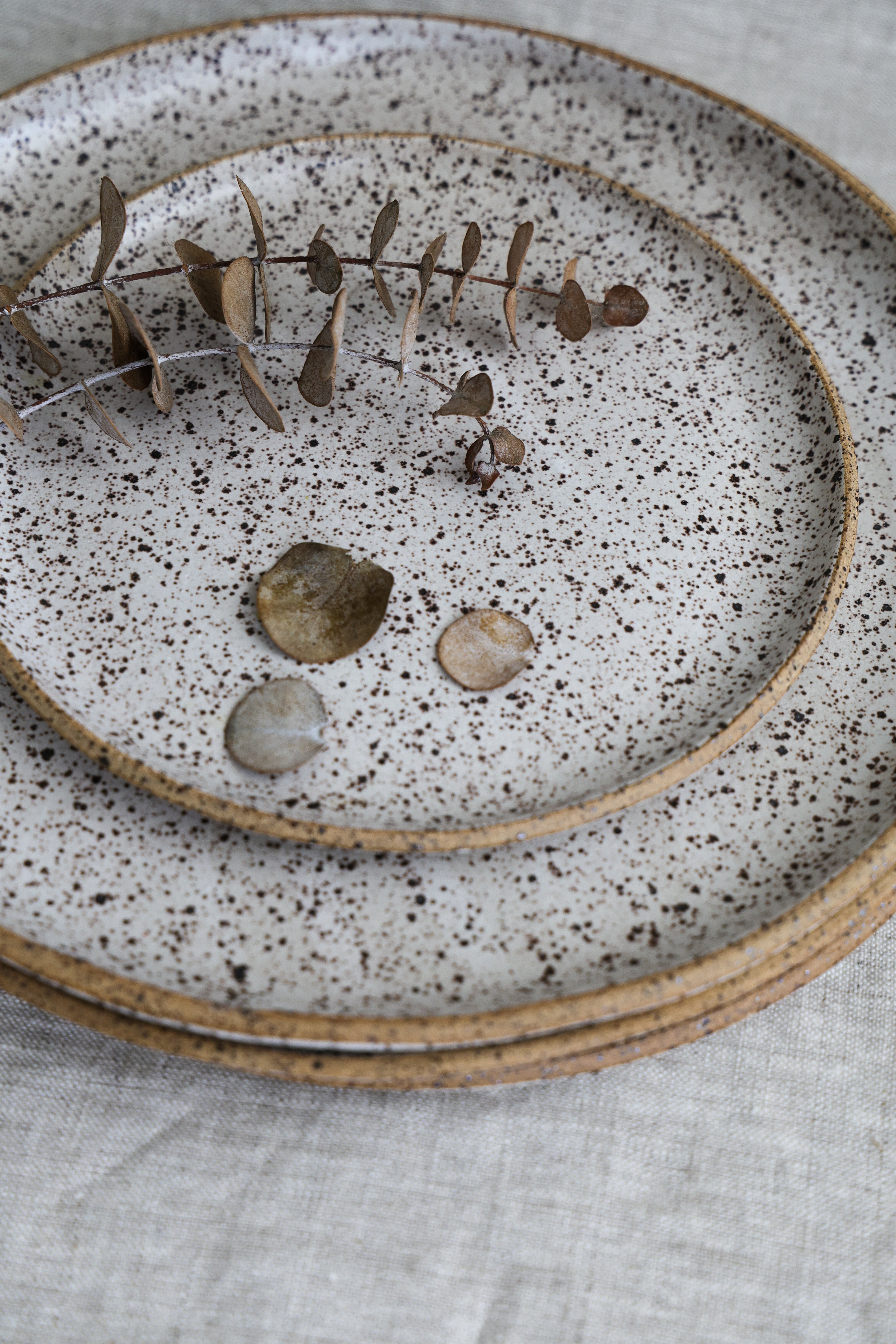 Speckled Dinner Plate | Matte White Ceramic-zoom-6