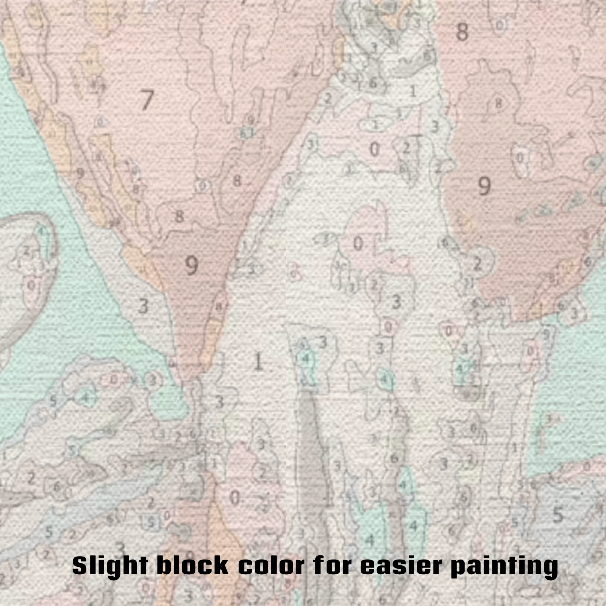 Garnet Flamingo Paint by Numbers Kit