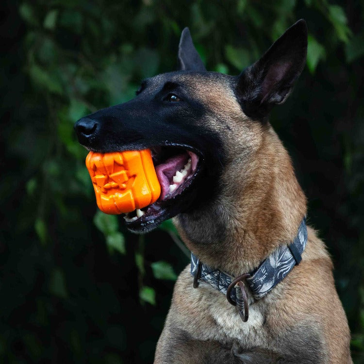 Jack O' Lantern Dog Toy - Durable Halloween Chew Toy for Large Dogs | USA Made-zoom-5