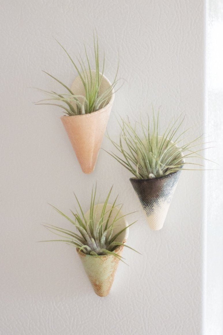 Mini Wall Planter Magnet-zoom-1