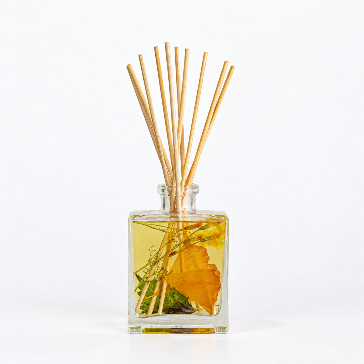 Accent Botanical Reed Diffuser | Harvest Pumpkin