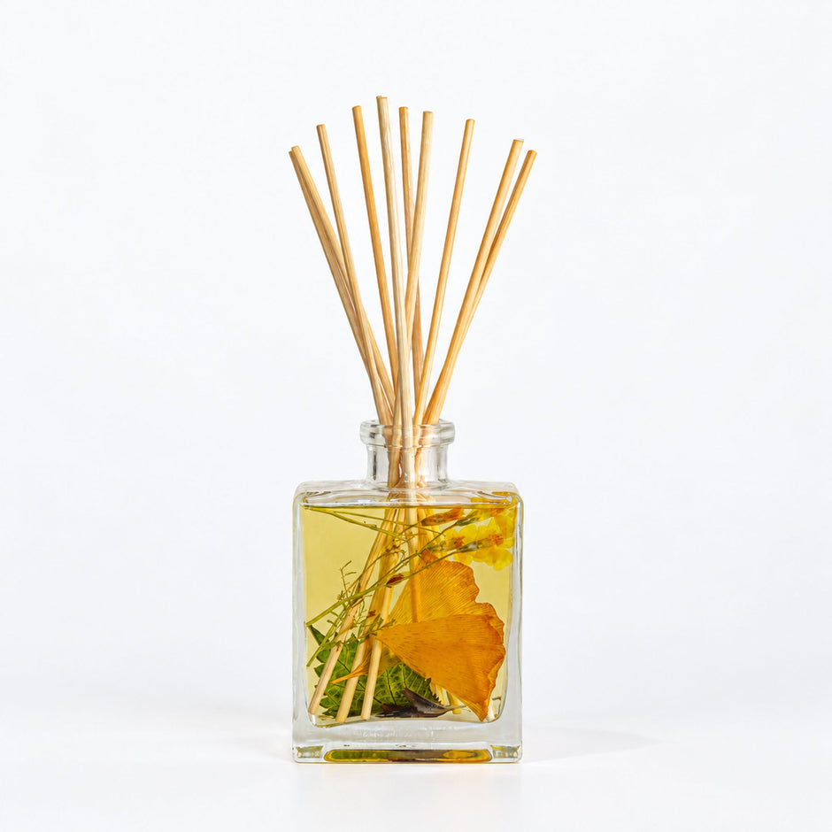 Accent Botanical Reed Diffuser | Harvest Pumpkin
