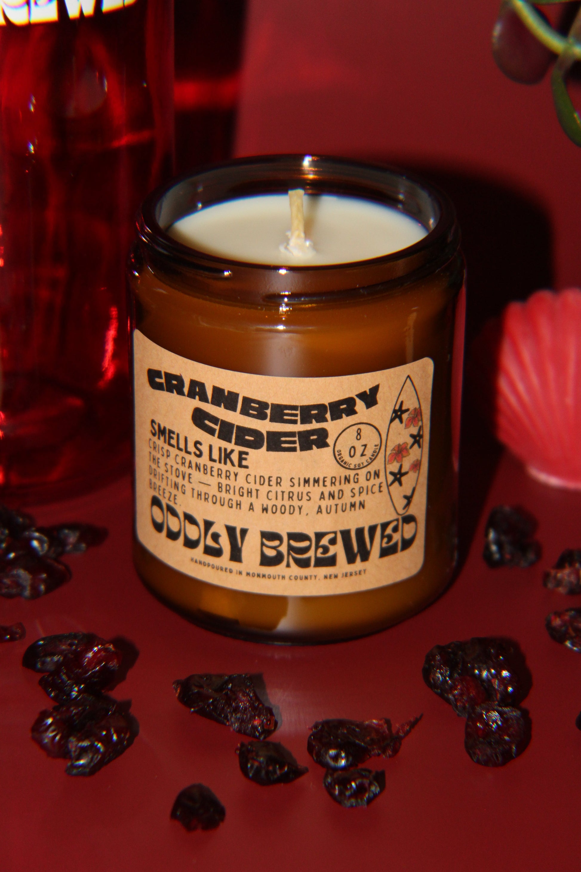 Cranberry Cider Soy Candle-2