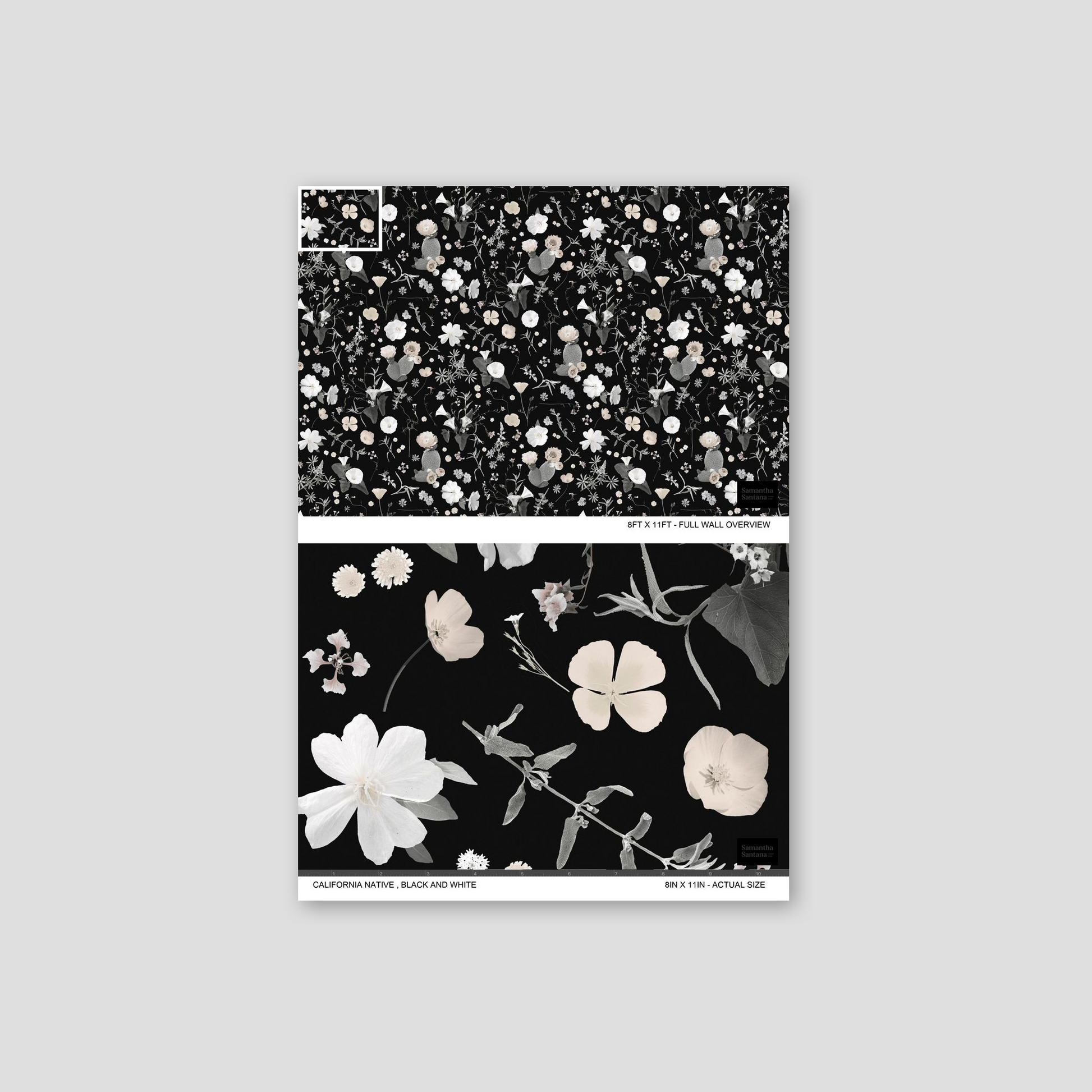 California Native Wallpaper, black and white-6