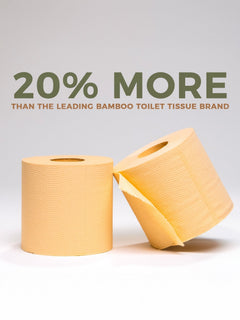 Panda Eco Paper | Bamboo Toilet Paper Sample - Aware House - Rustic Strength - 