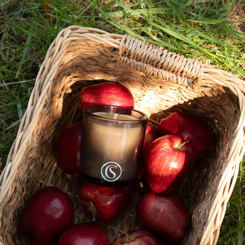 A Forbidden Orchard Beeswax Candle-zoom-