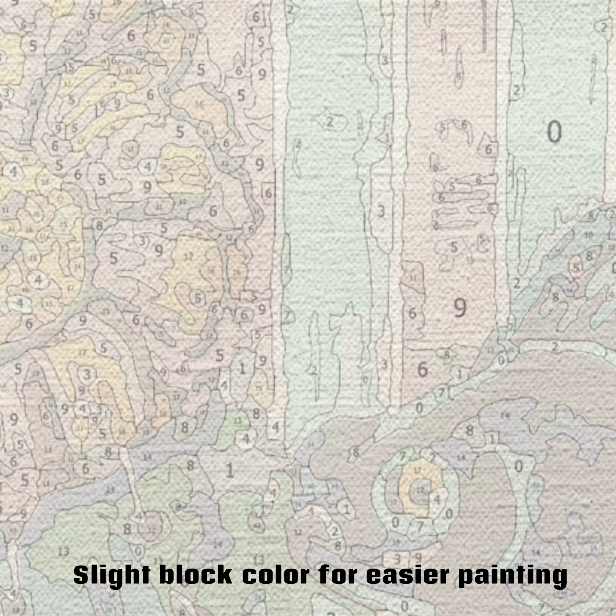 Cactus Goldfish Paint by Numbers Kit-zoom-2