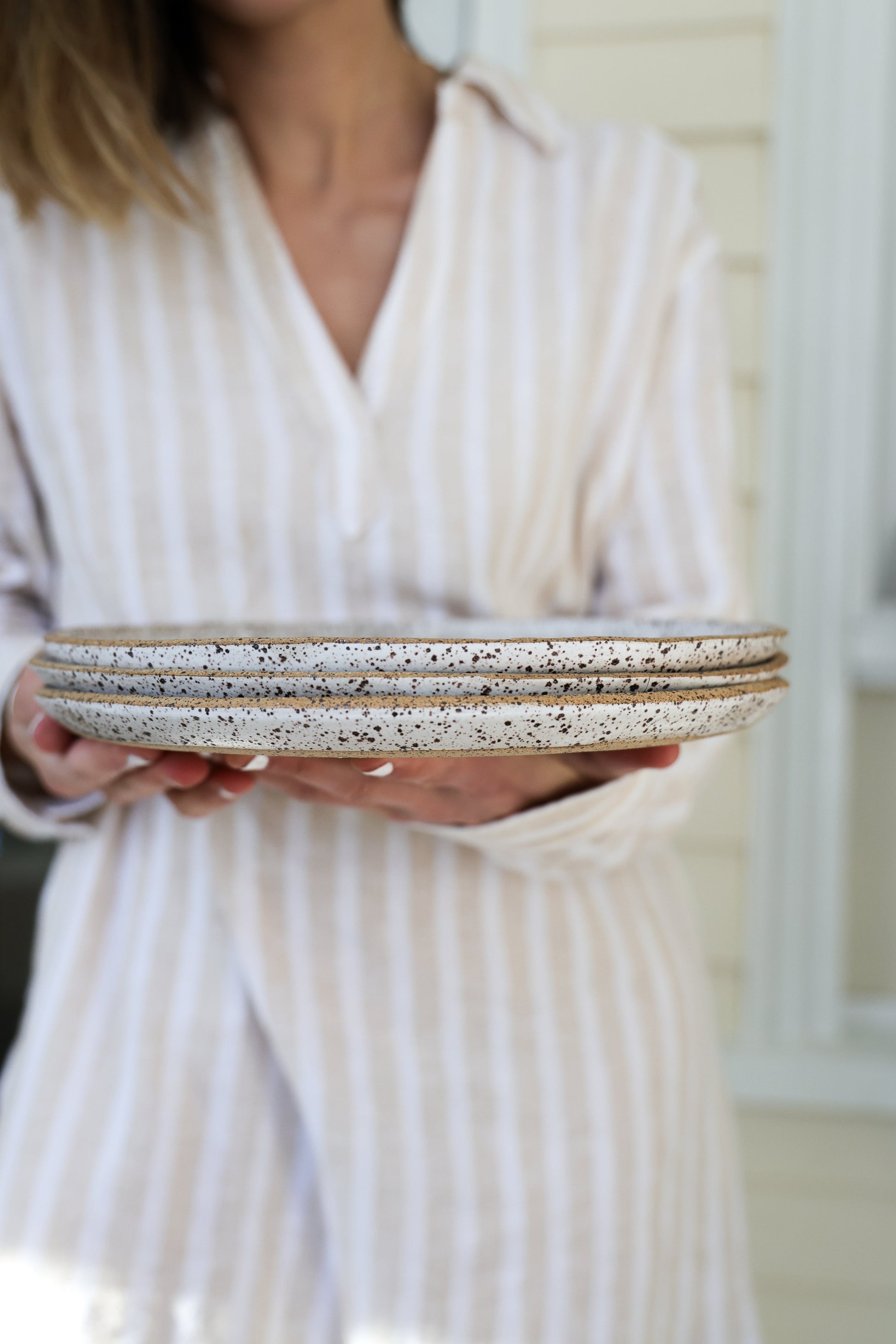 Speckled Dinner Plate | Matte White Ceramic-10