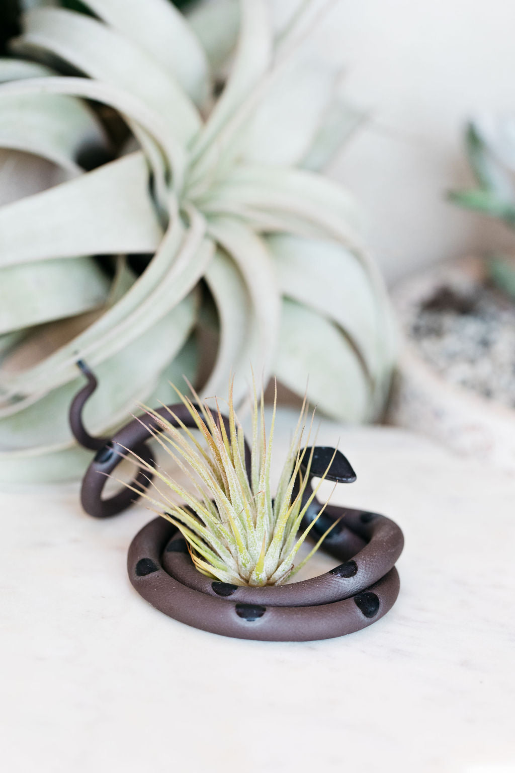 Medium Ceramic Snake-zoom-3