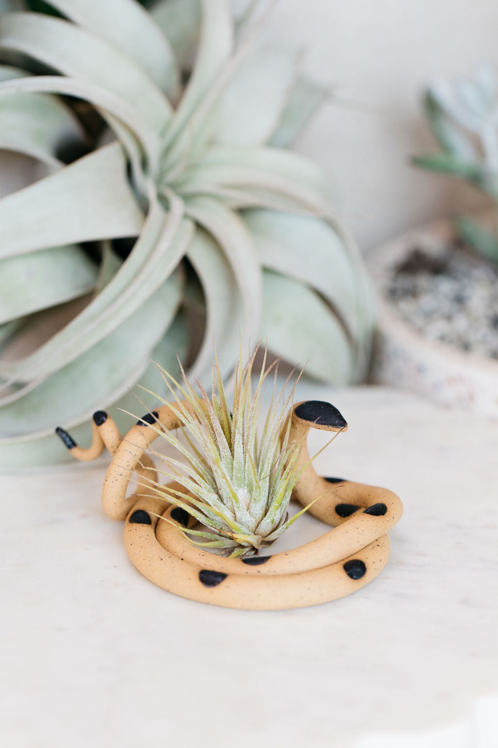 Medium Ceramic Snake-zoom-5