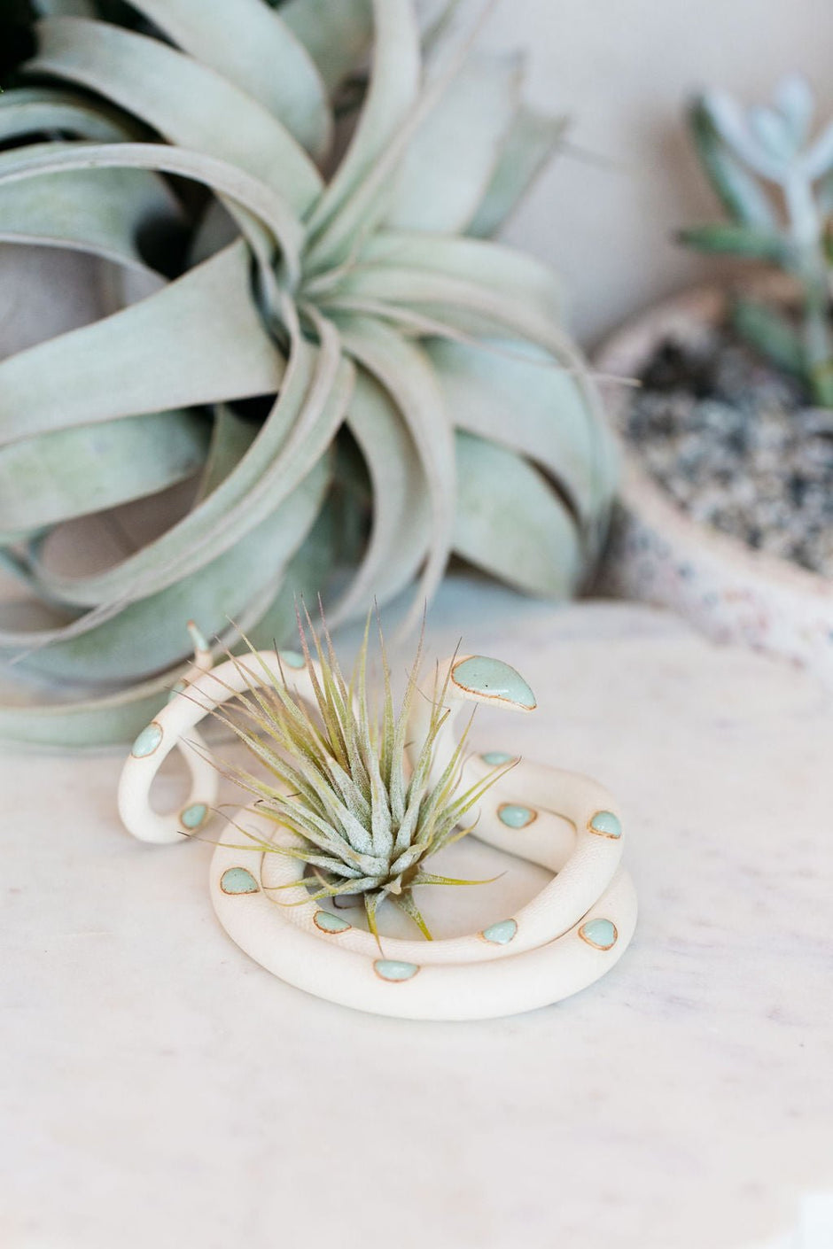 Medium Ceramic Snake - Aware House - Carter + Rose - 