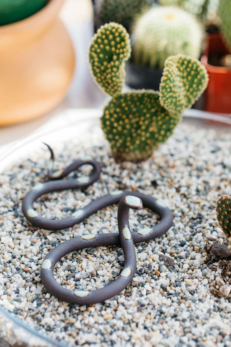 Small Ceramic Snake-zoom-