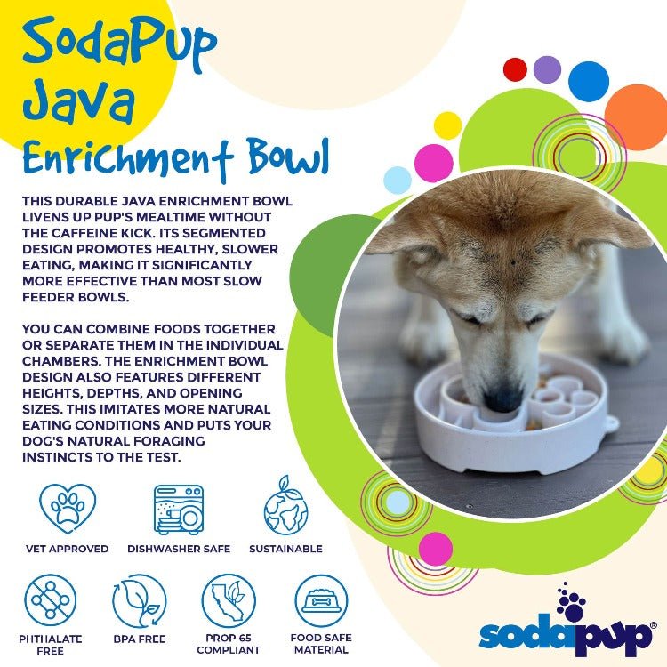 Java eBowl Deep Slow Feeder Dog Bowl - Aware House